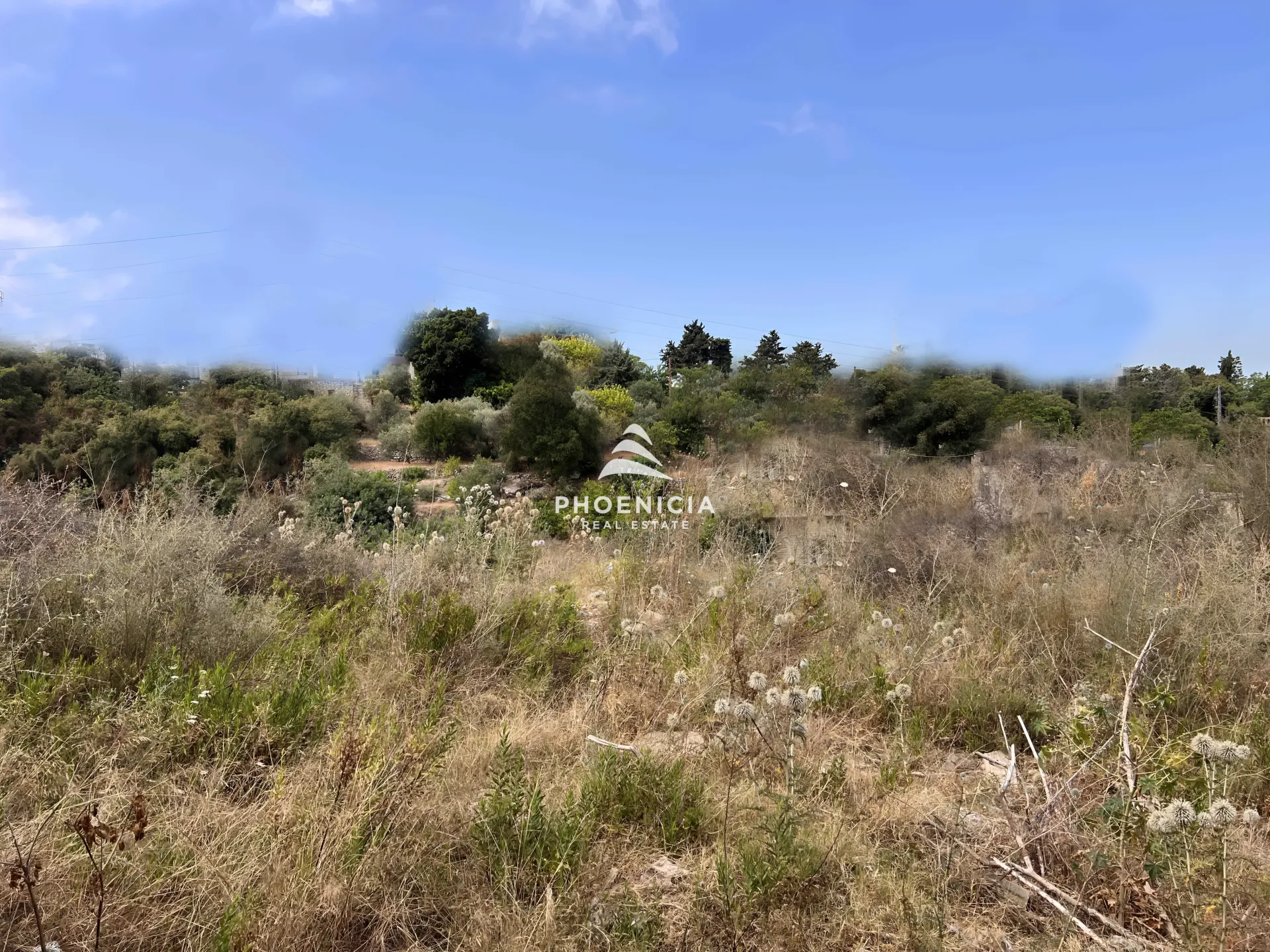 Land for Sale in Blat