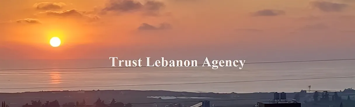 Land for Sale in Tyre