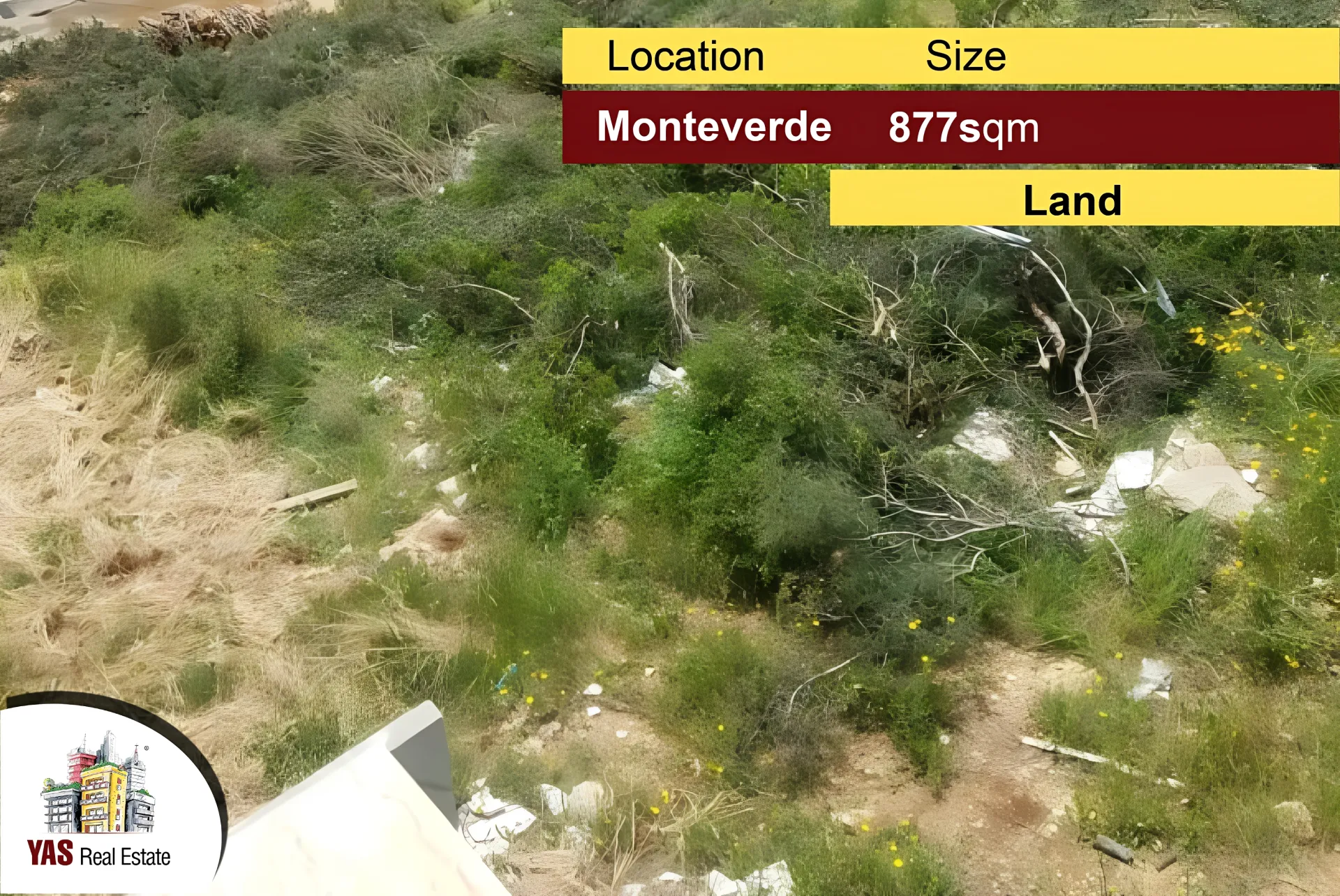 Land for Sale in Montiverdi