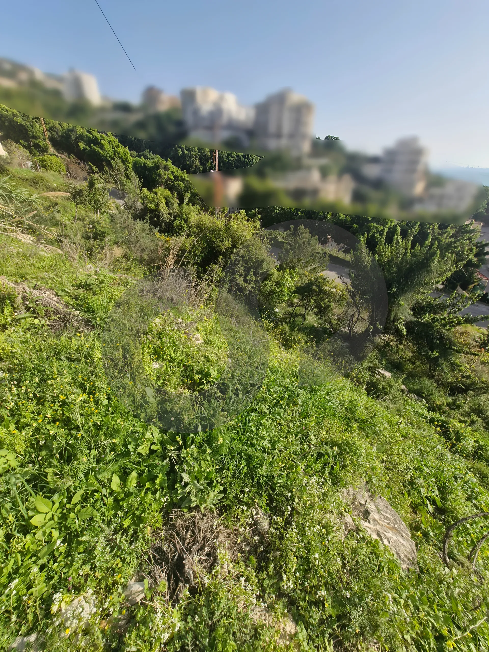 Land for Sale in Fidar