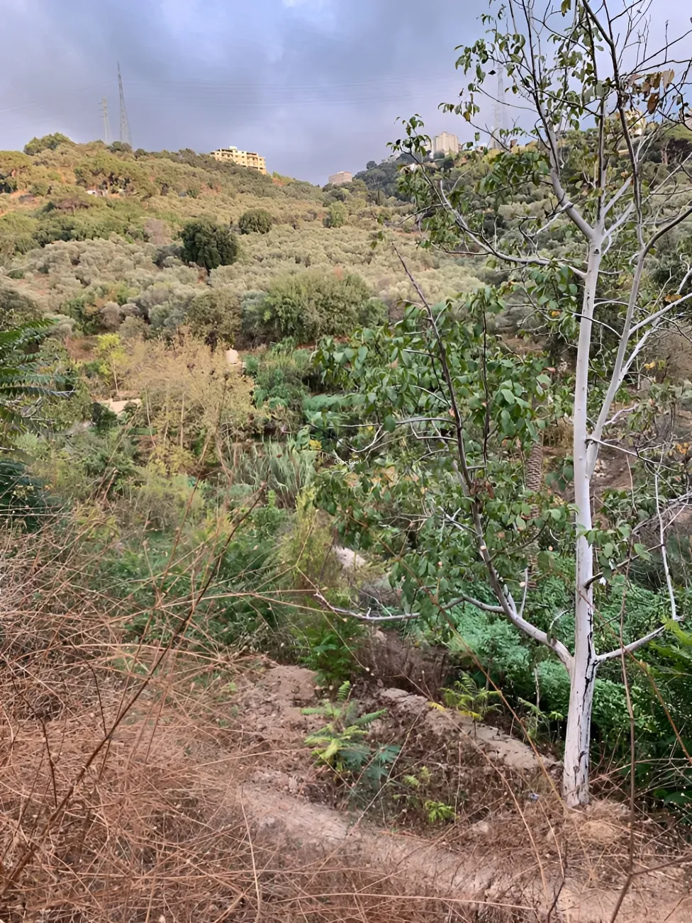 Land for sale in Haret El Sett