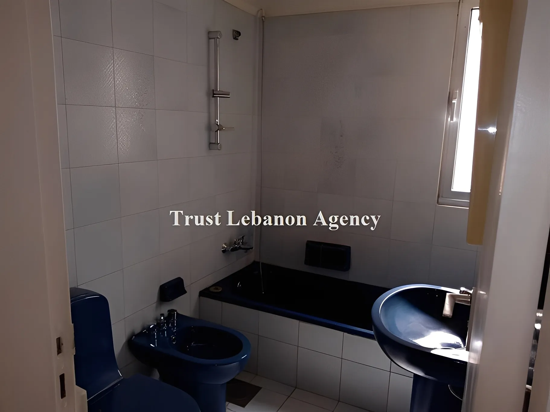 Apartment for Sale in Metn Horsh Tabet Lebanon