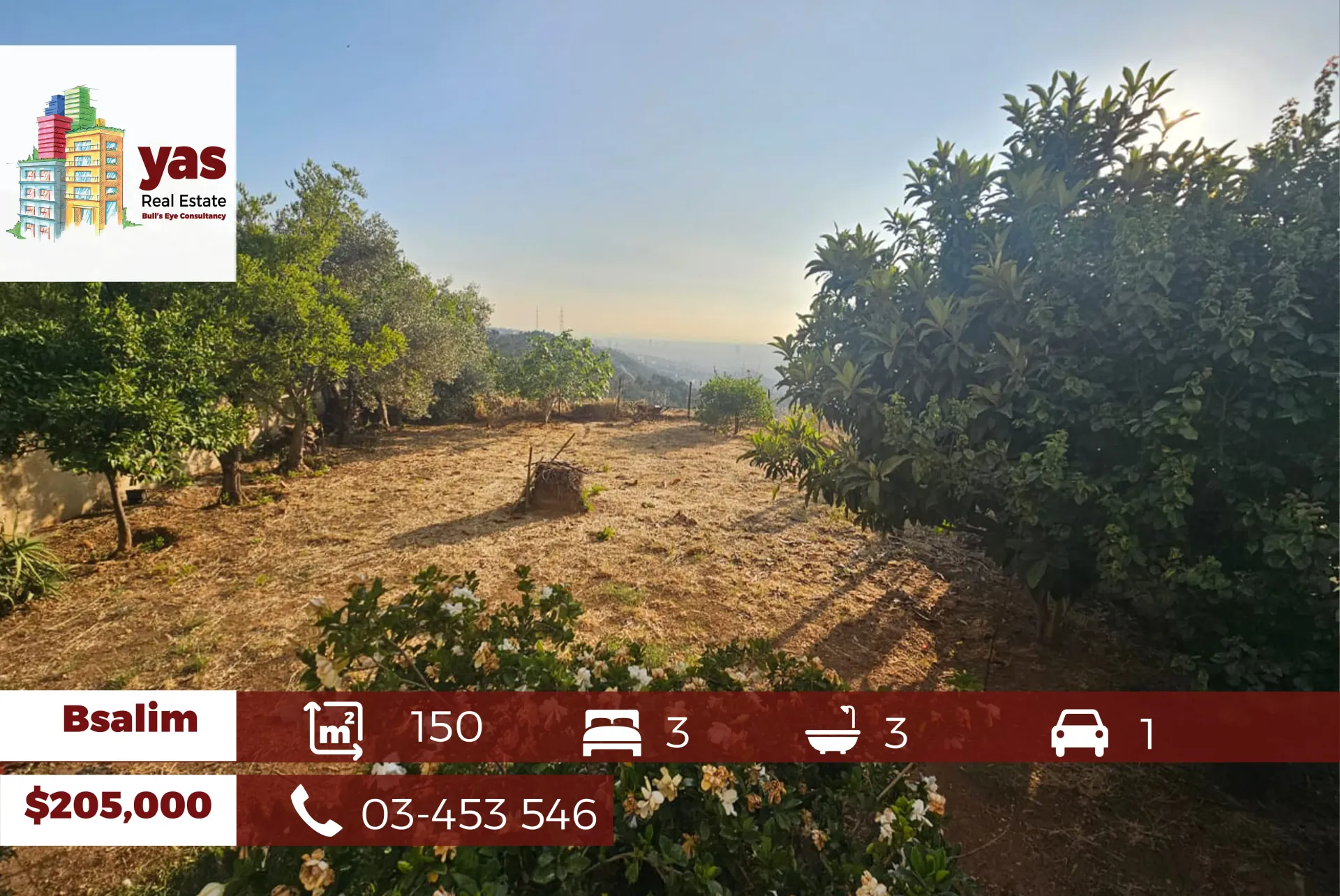 Apartment for Sale in Bsalim
