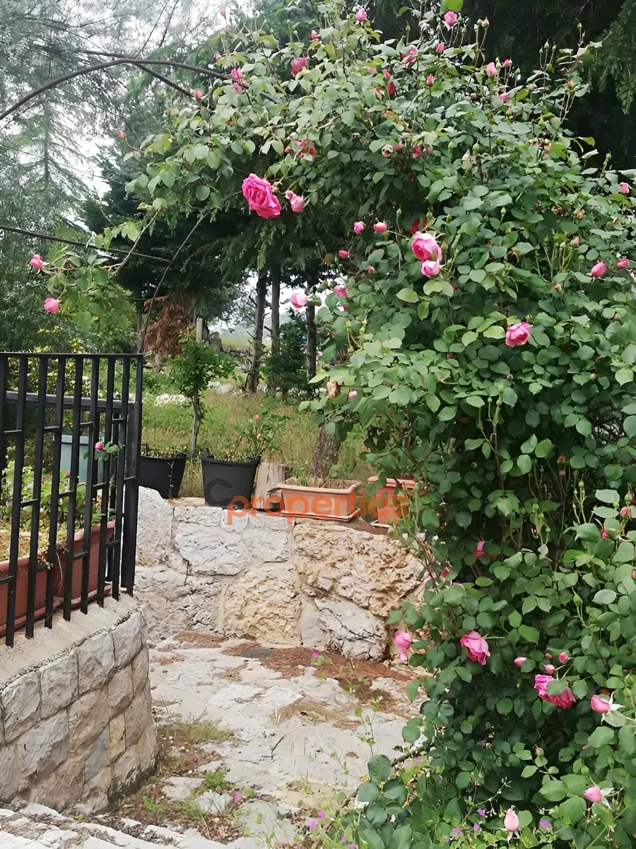 Land for Sale in Ghineh