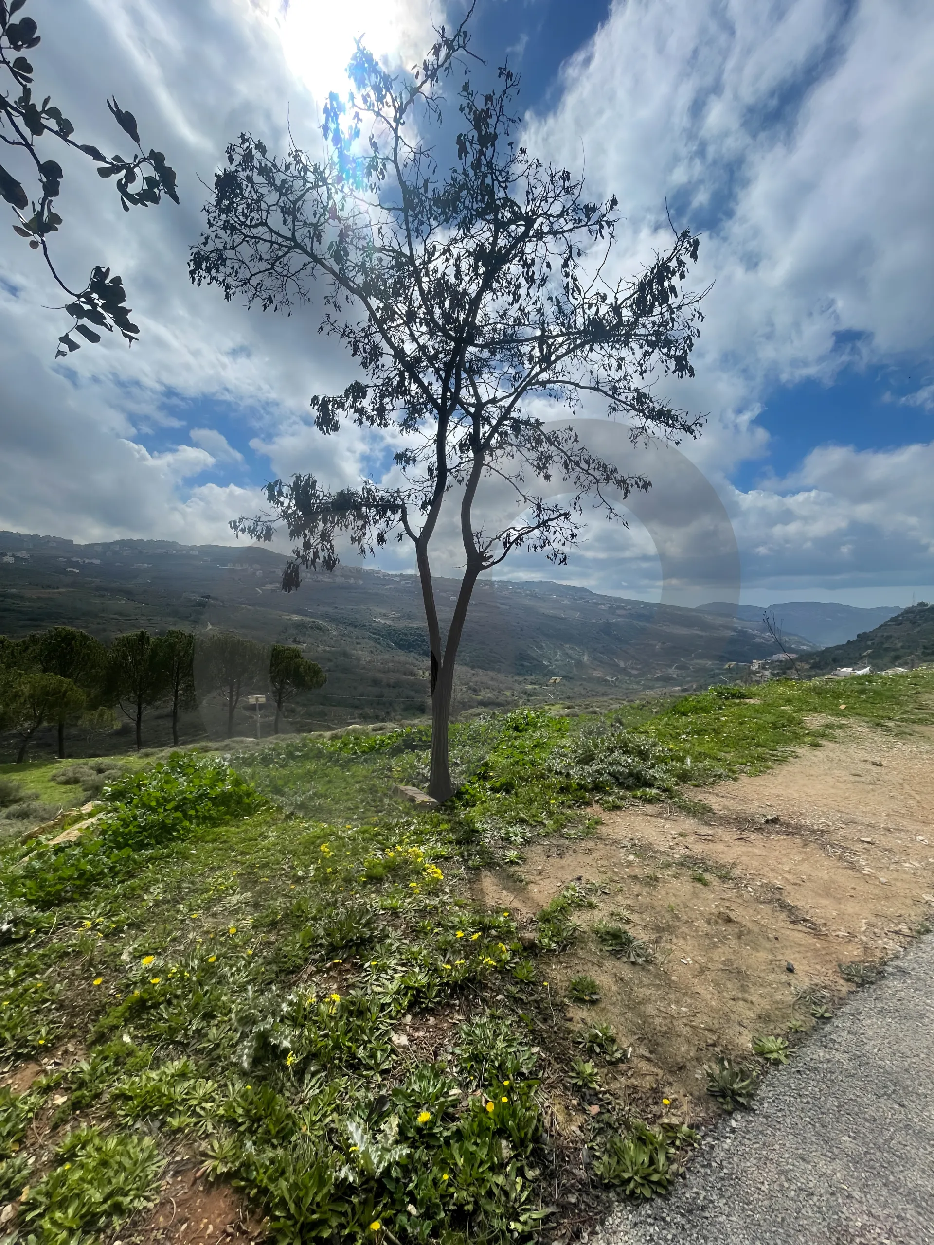 Land for Sale in Bhamdoun