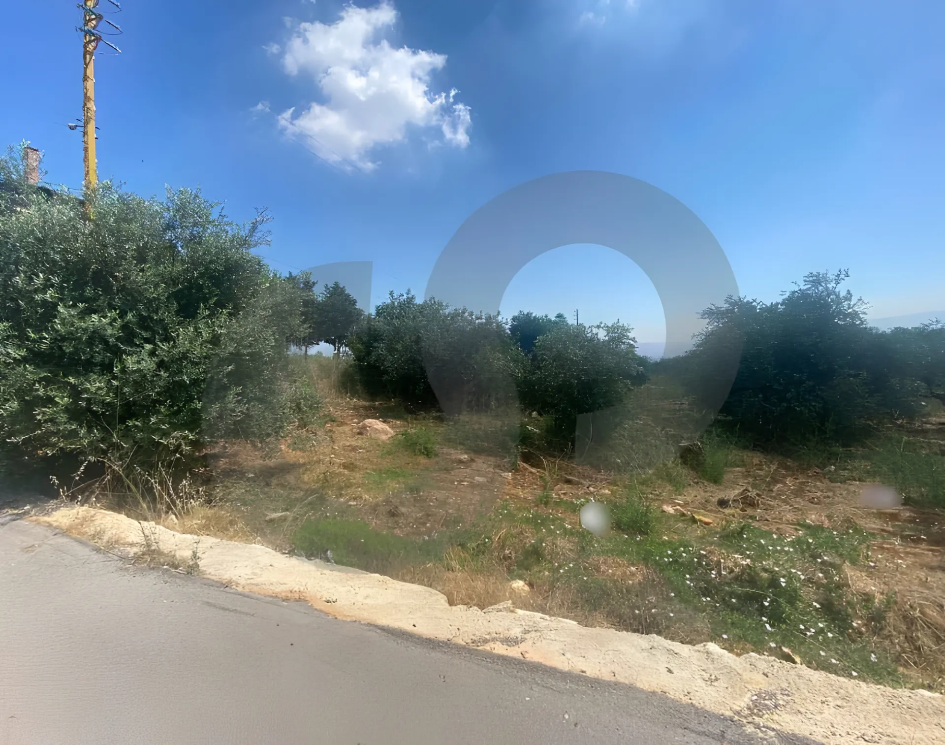Land for Sale in Nakhleh