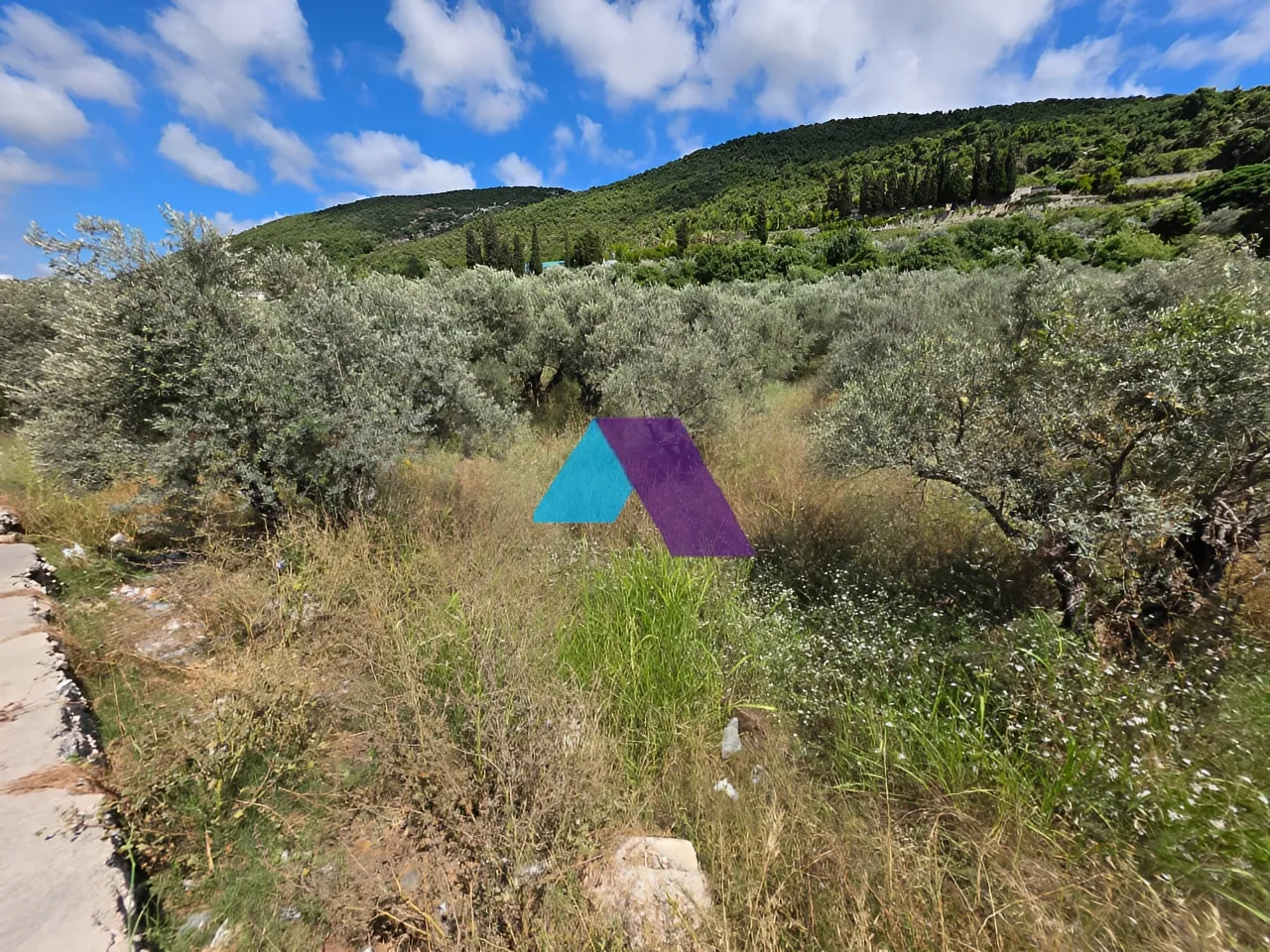 Land for Sale in Batroun