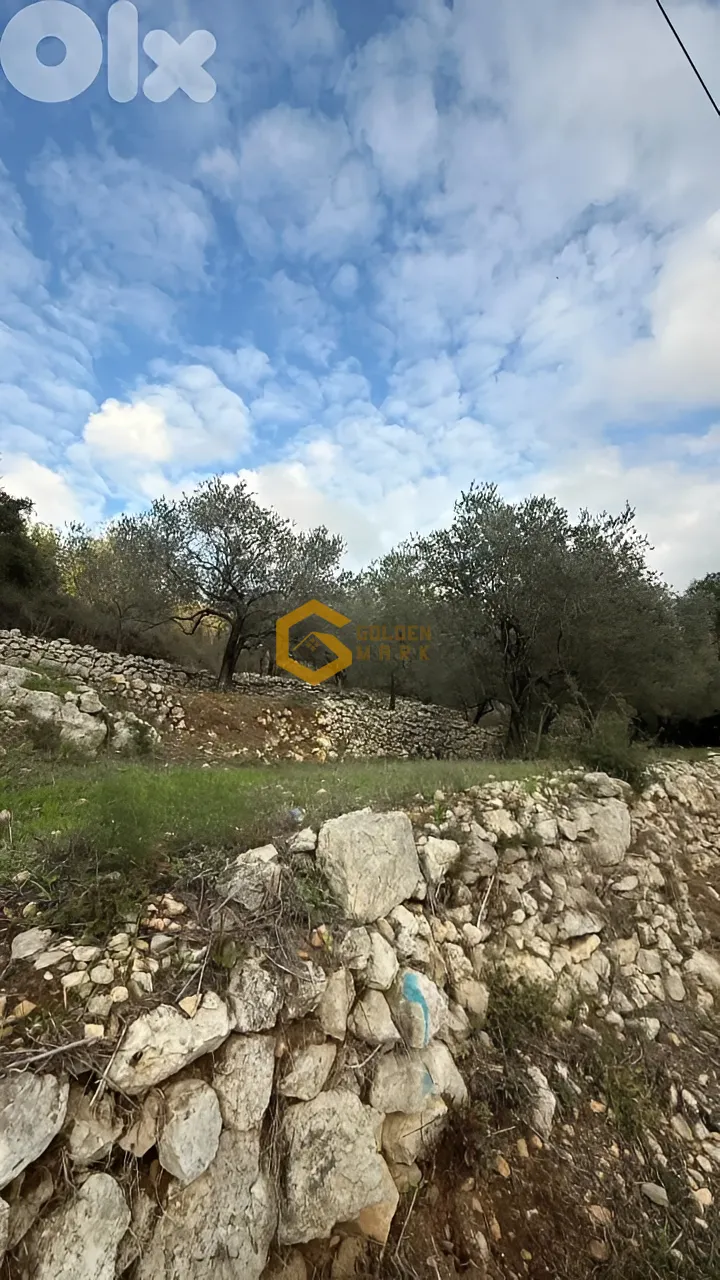 Land for Sale in Batroun