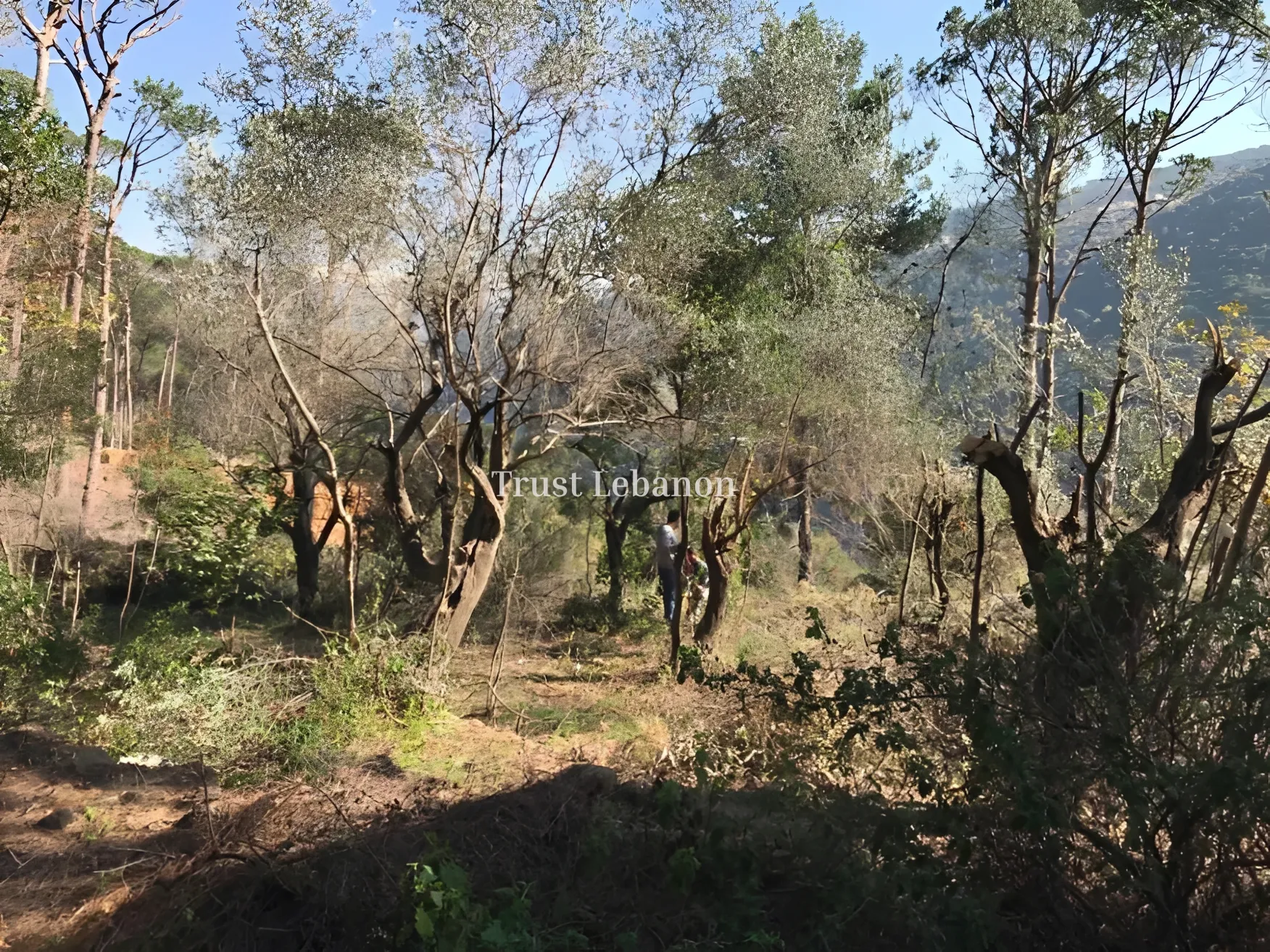 Residential Land for rent in Beit Meri, Lebanon