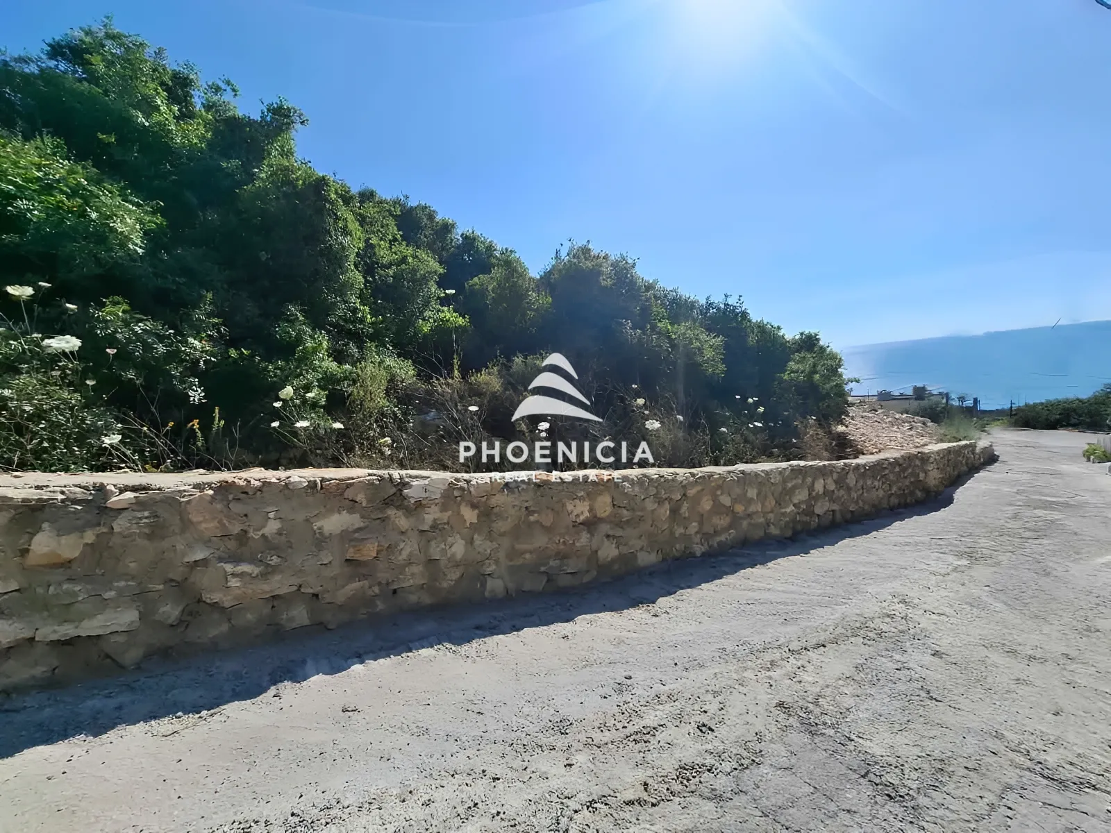 Residential Land for sale in Thoum، Batroun, Lebanon