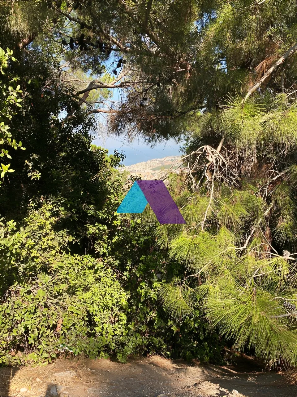 Land for Sale in Ain Saadeh
