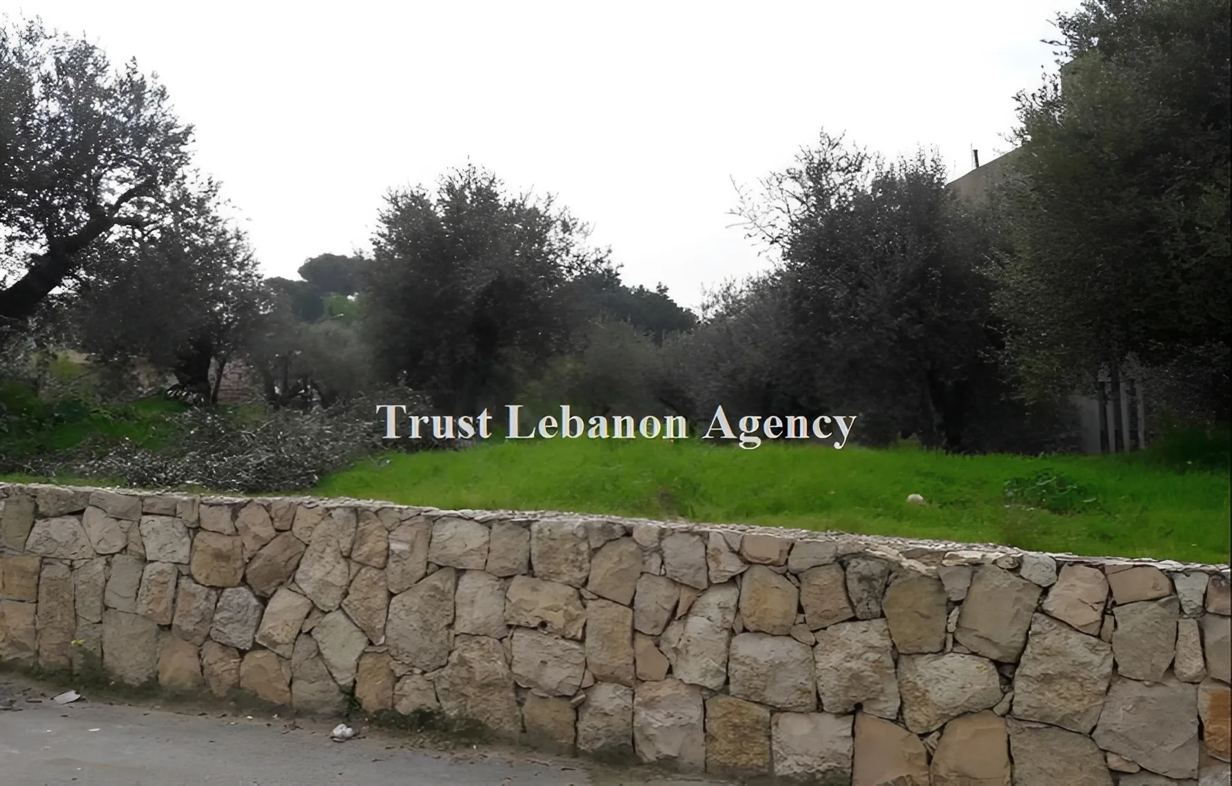 Land for Sale in Alay Bchemoun