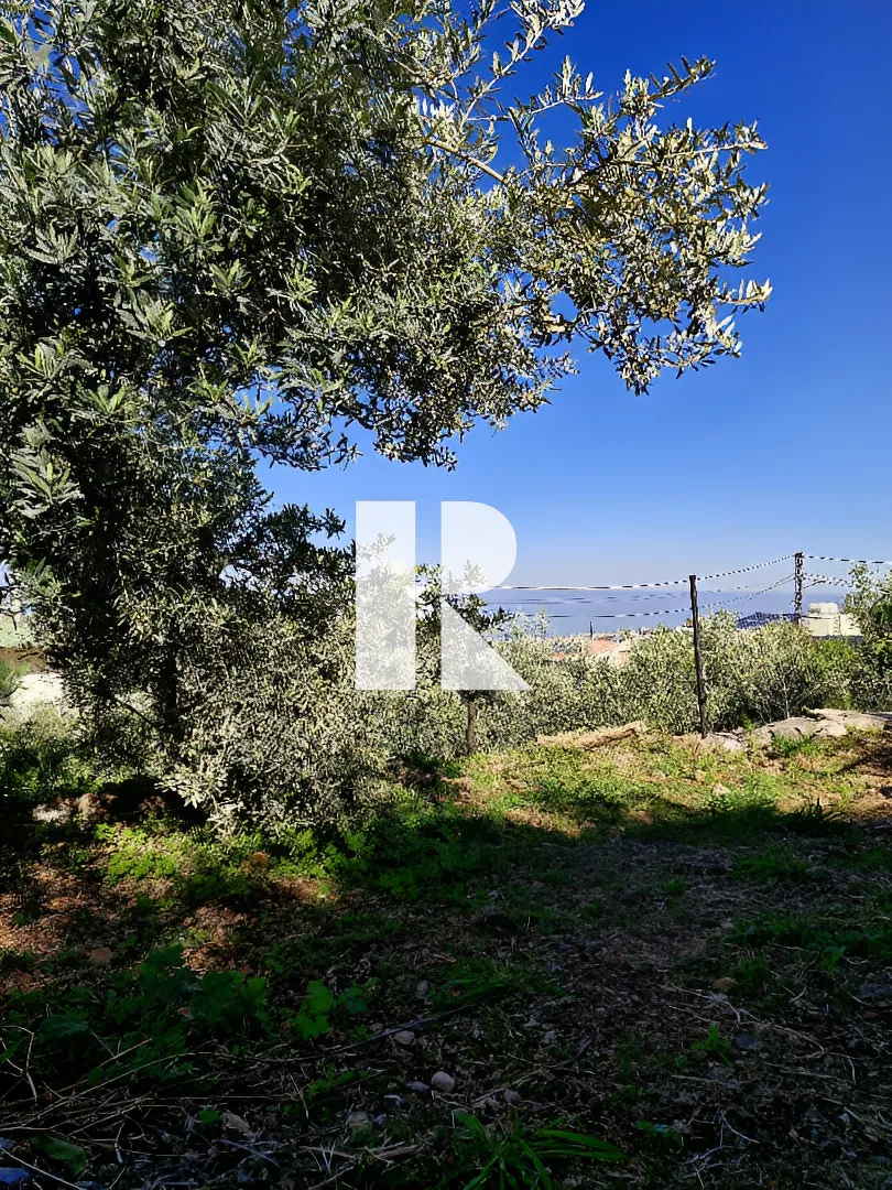 Land for sale in Hboub, aannaya, lebanon