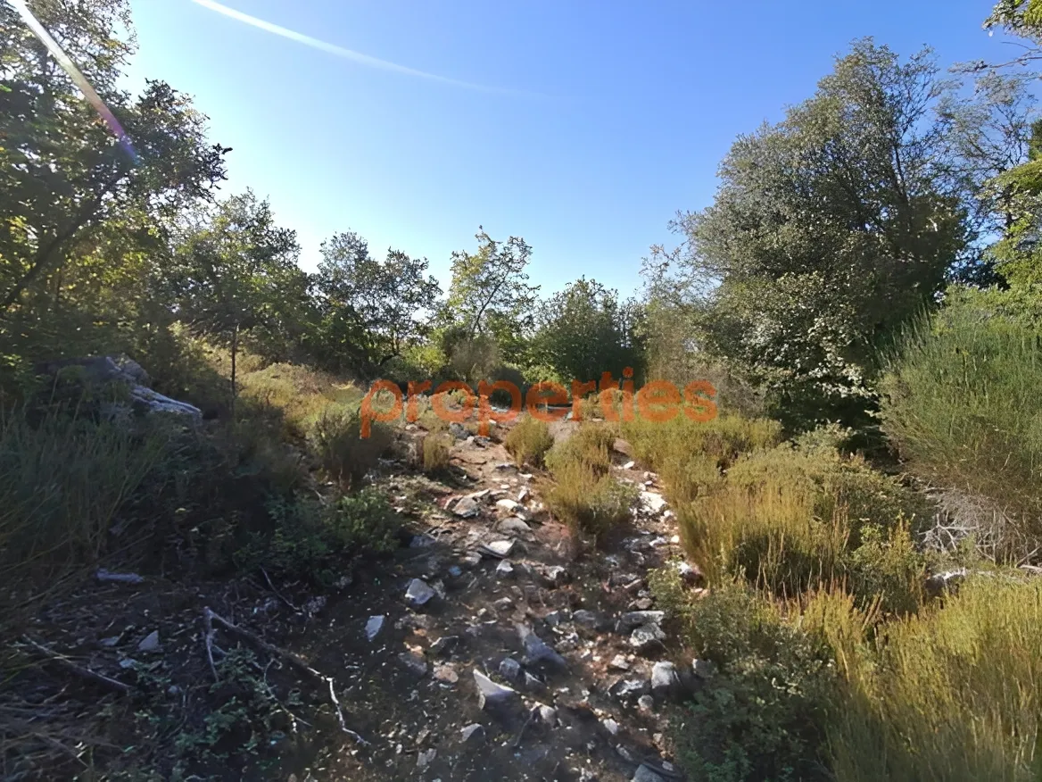 Residential Land for Sale in Mish Mish