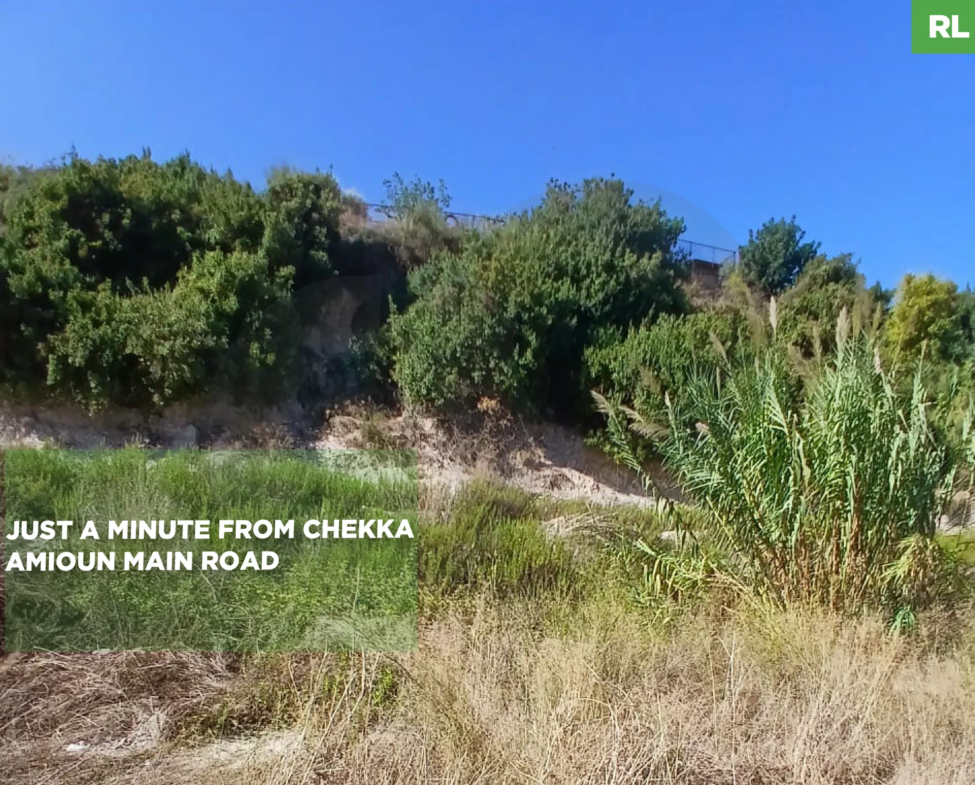 Land for Sale in Greater Amyoun
