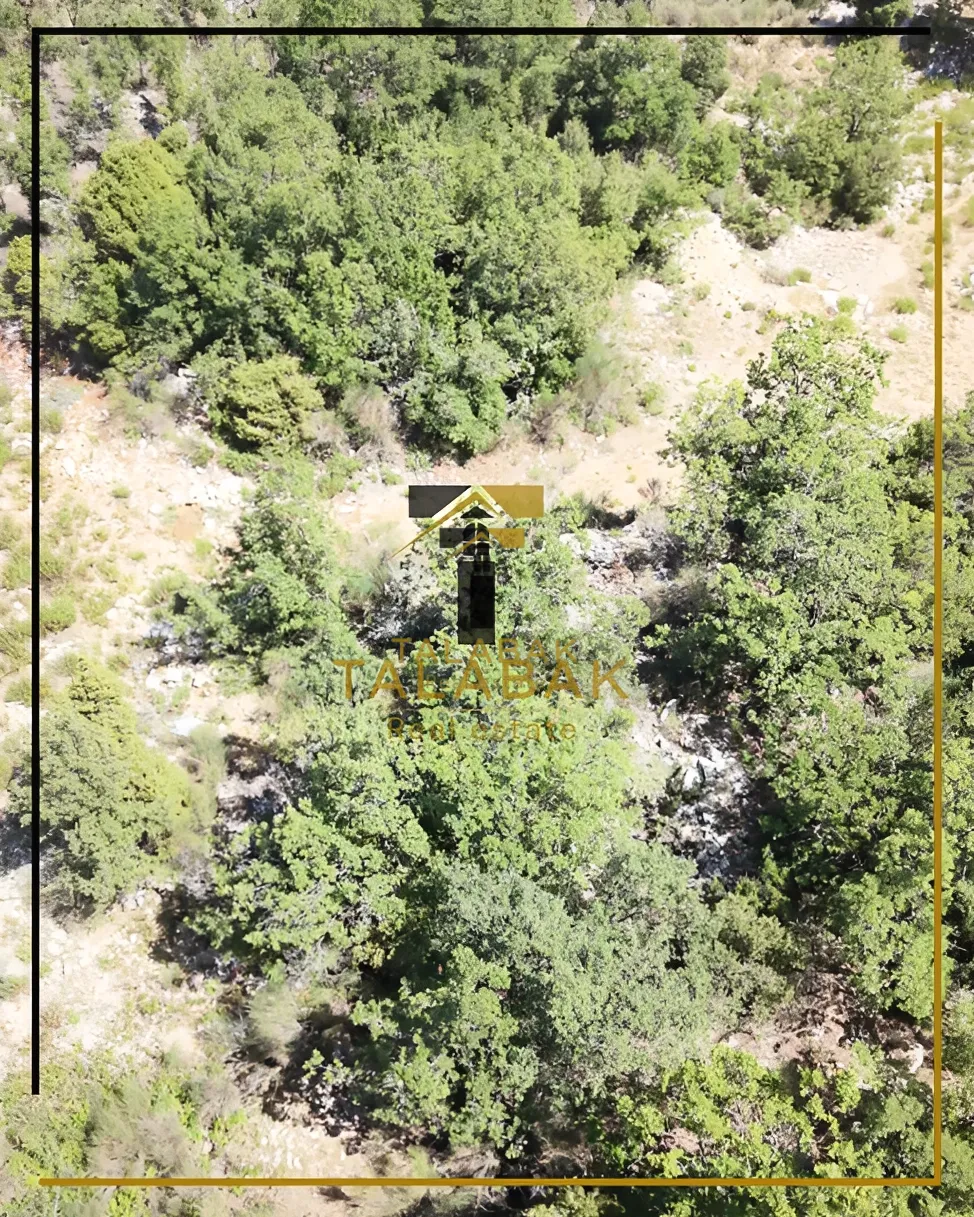 Residential Land for sale in Mechmech