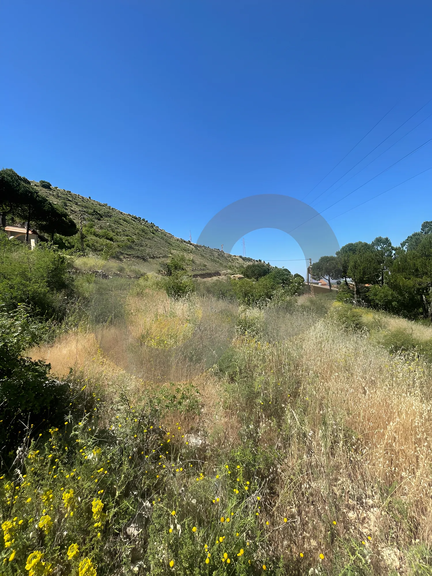 Land for Sale in Saoufar