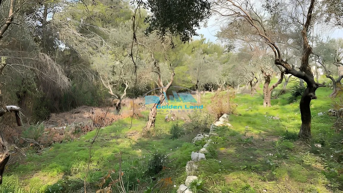 Land for Sale in Aley, Lebanon