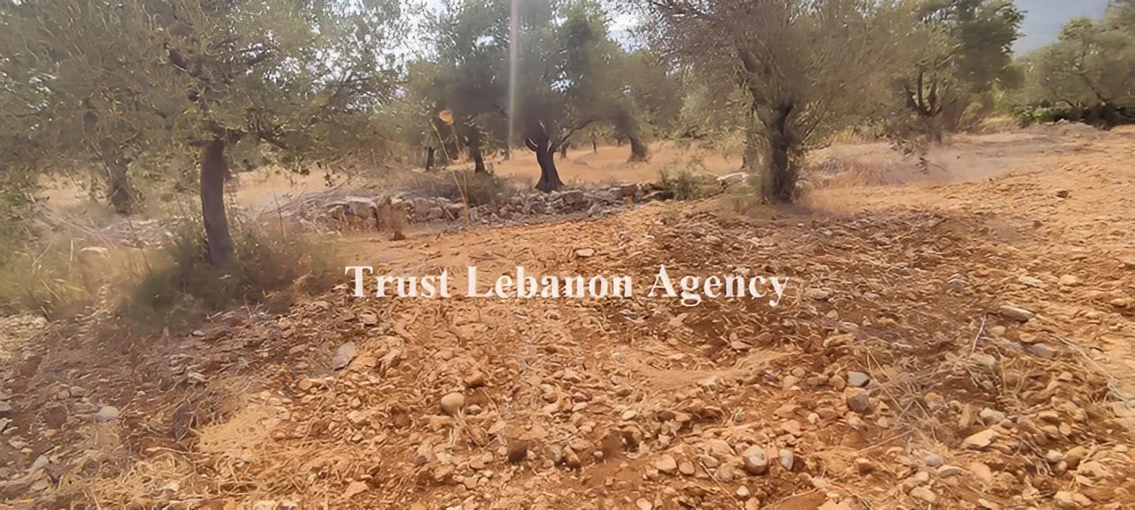 Land for Sale in El Merre Hasbaya Lebanon