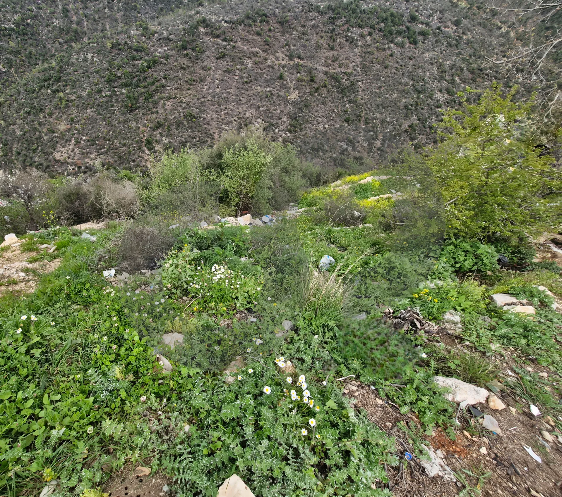 Land for Sale in Ras Osta
