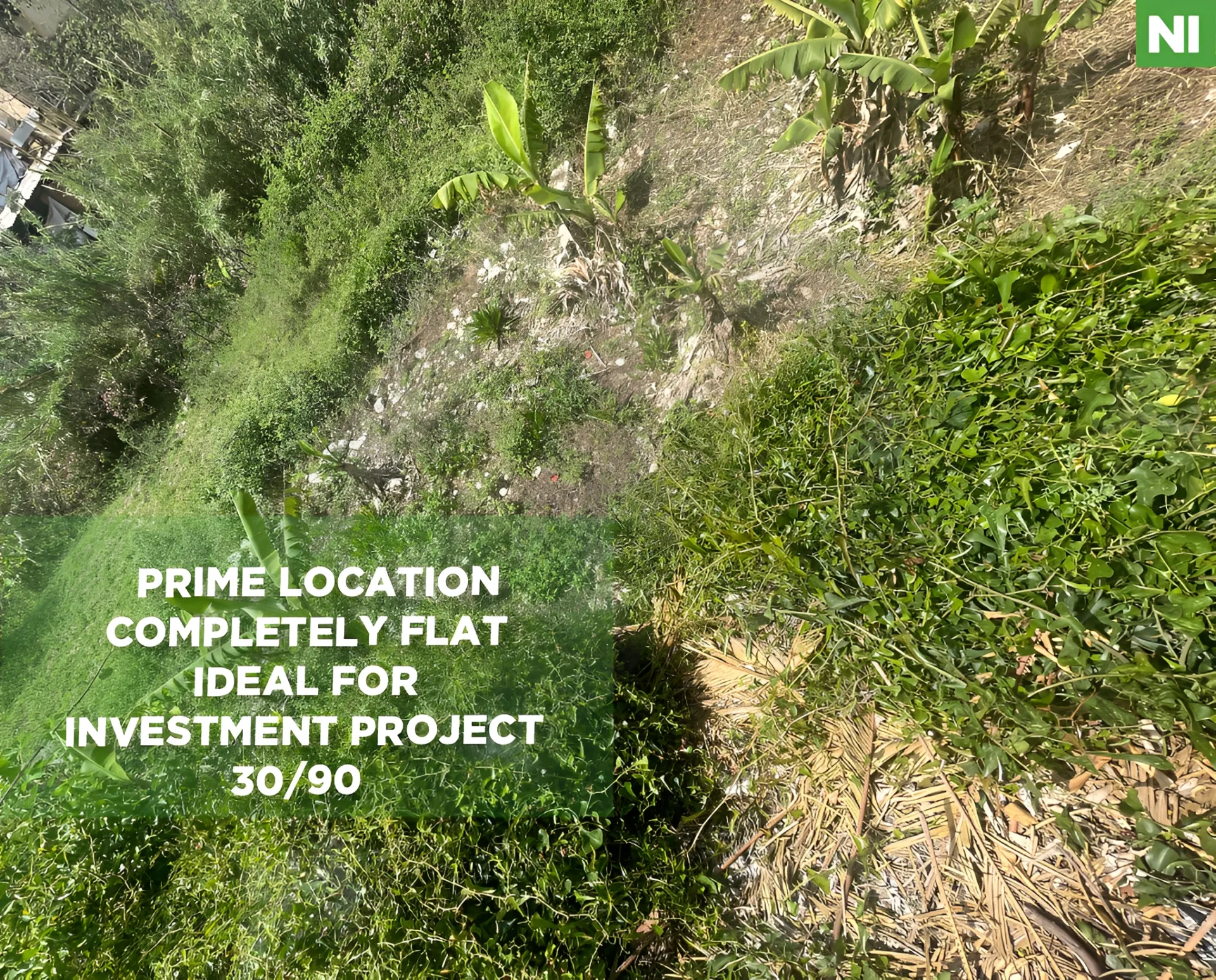 Land for Sale in Edde