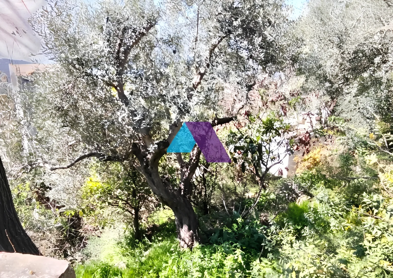Villa for Sale in Bsatine