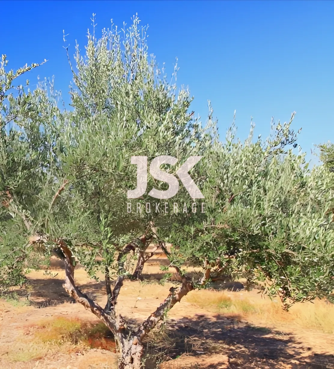 Land for Sale in Deir El Qamar, Lebanon