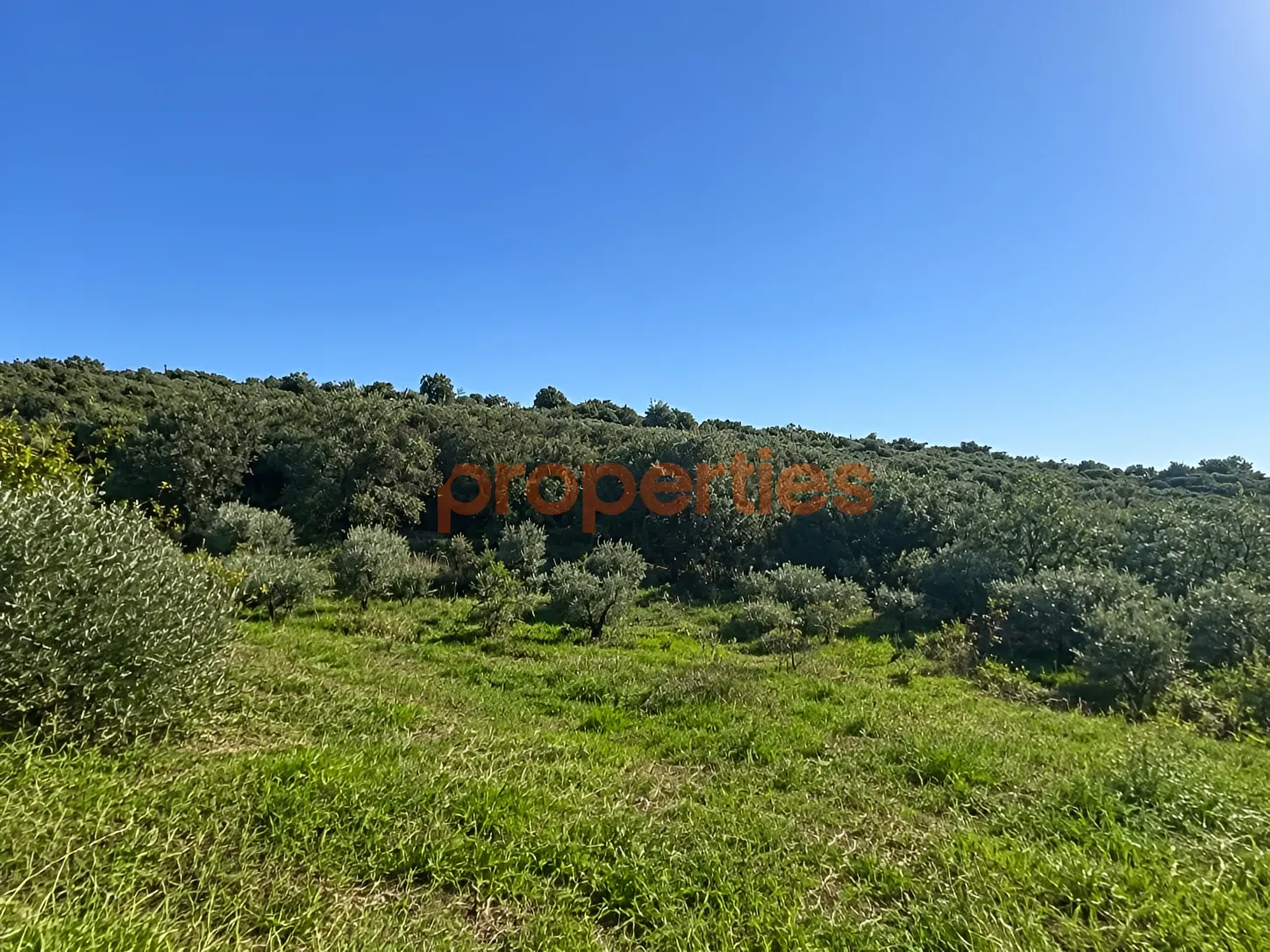 Residential Land for Sale in Gharfine