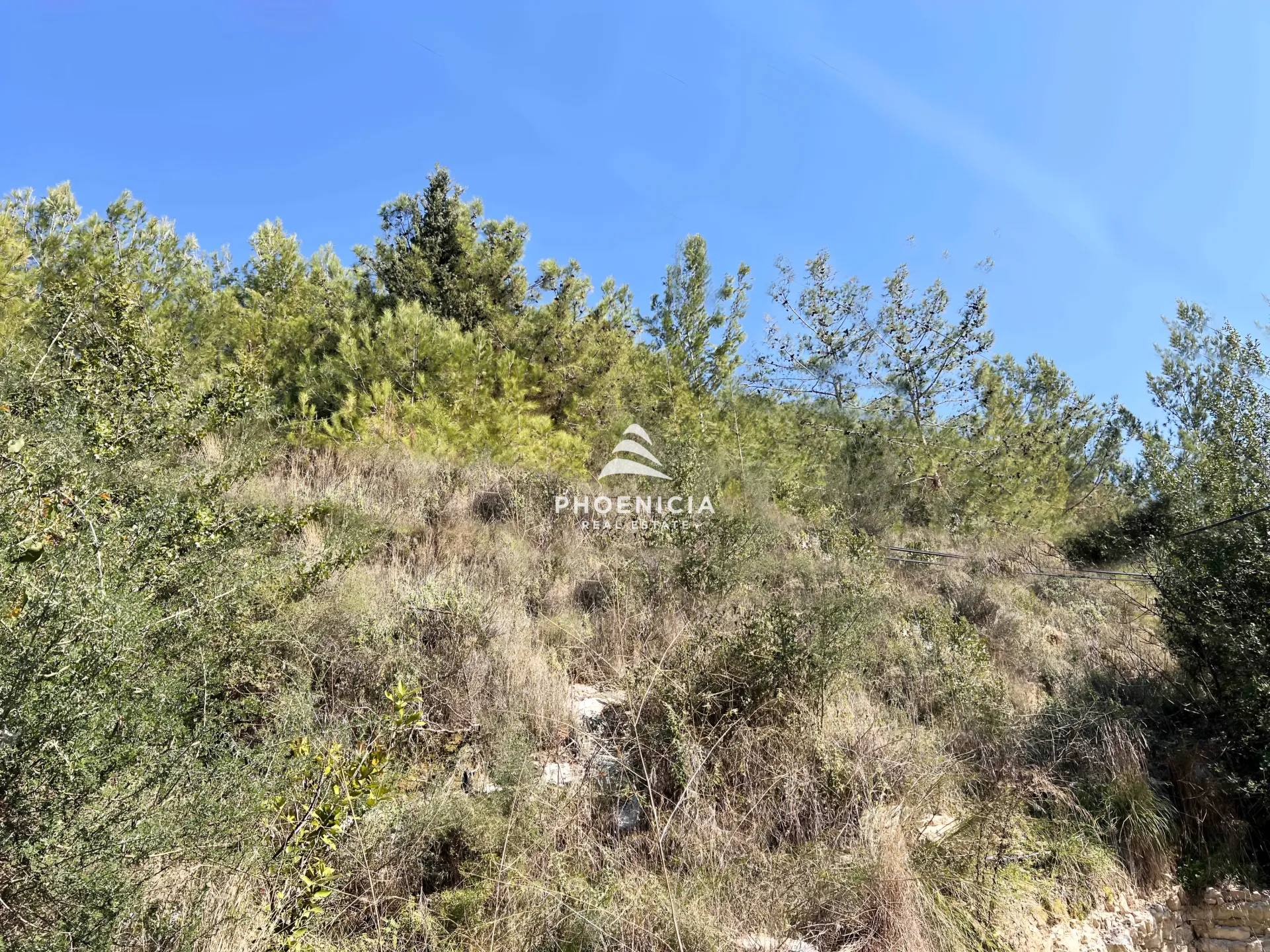 Land for Sale in Blat