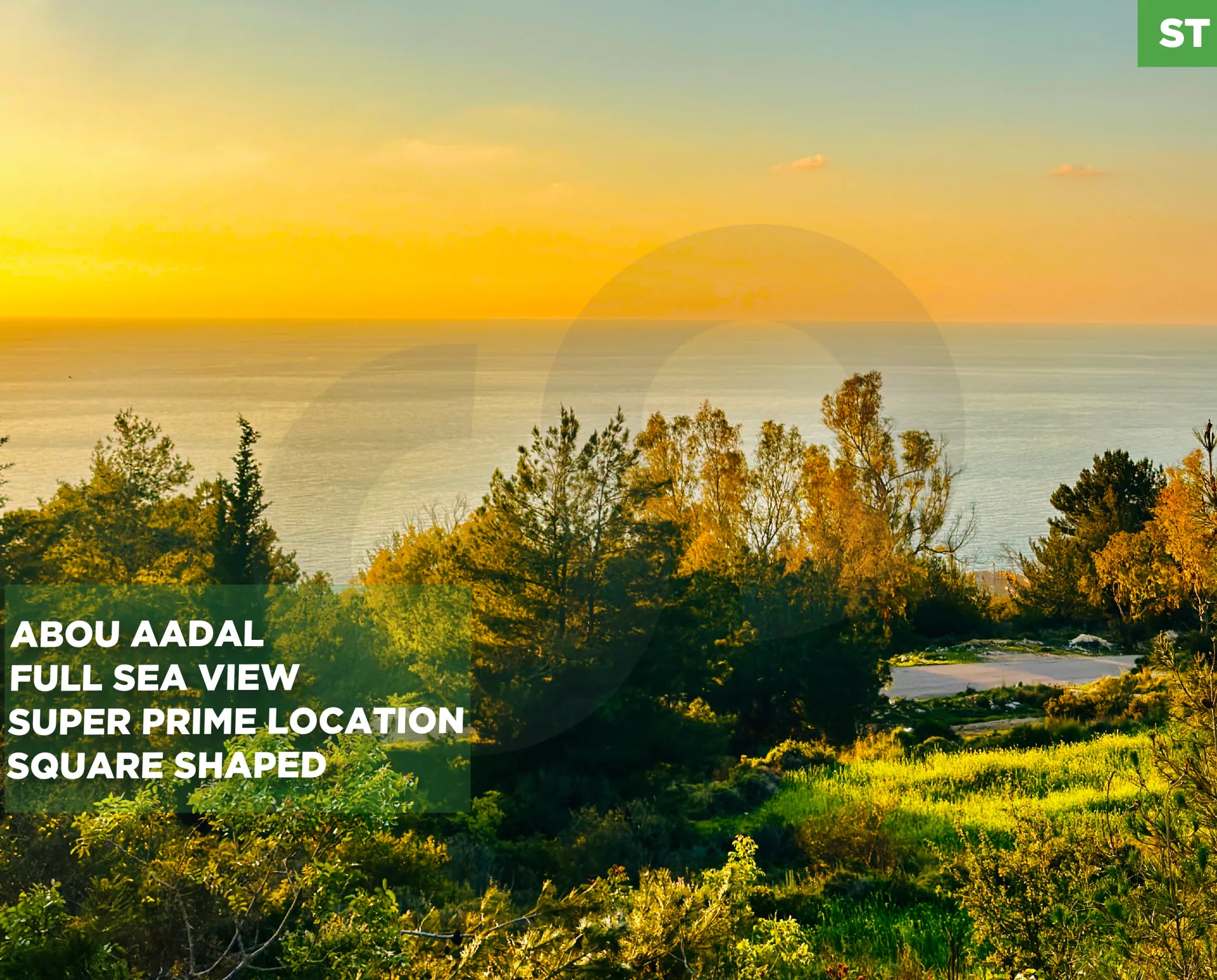 Land for Sale in Adma w Dafnah