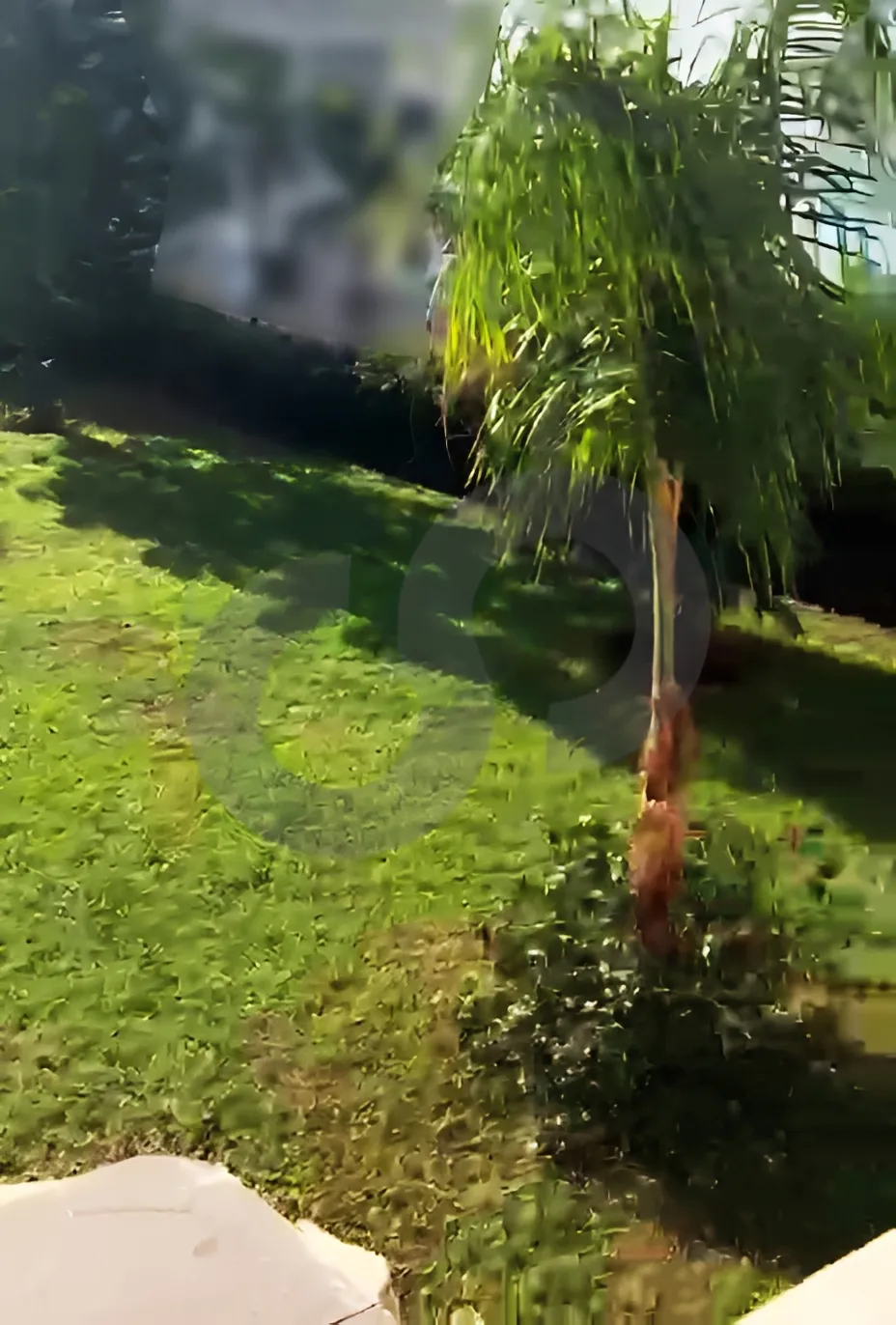 Villa for Rent in Koura
