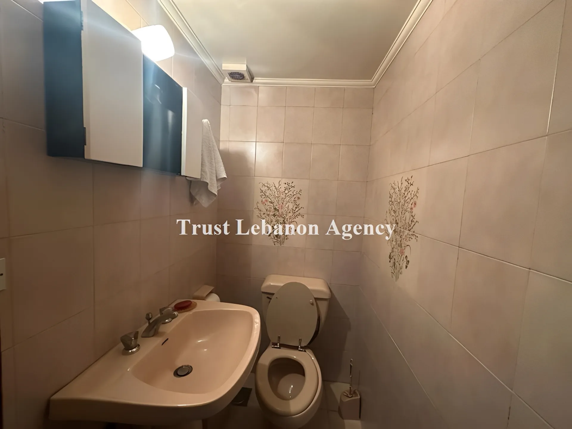 Apartment for Sale in Metn Jal Al Dib Lebanon