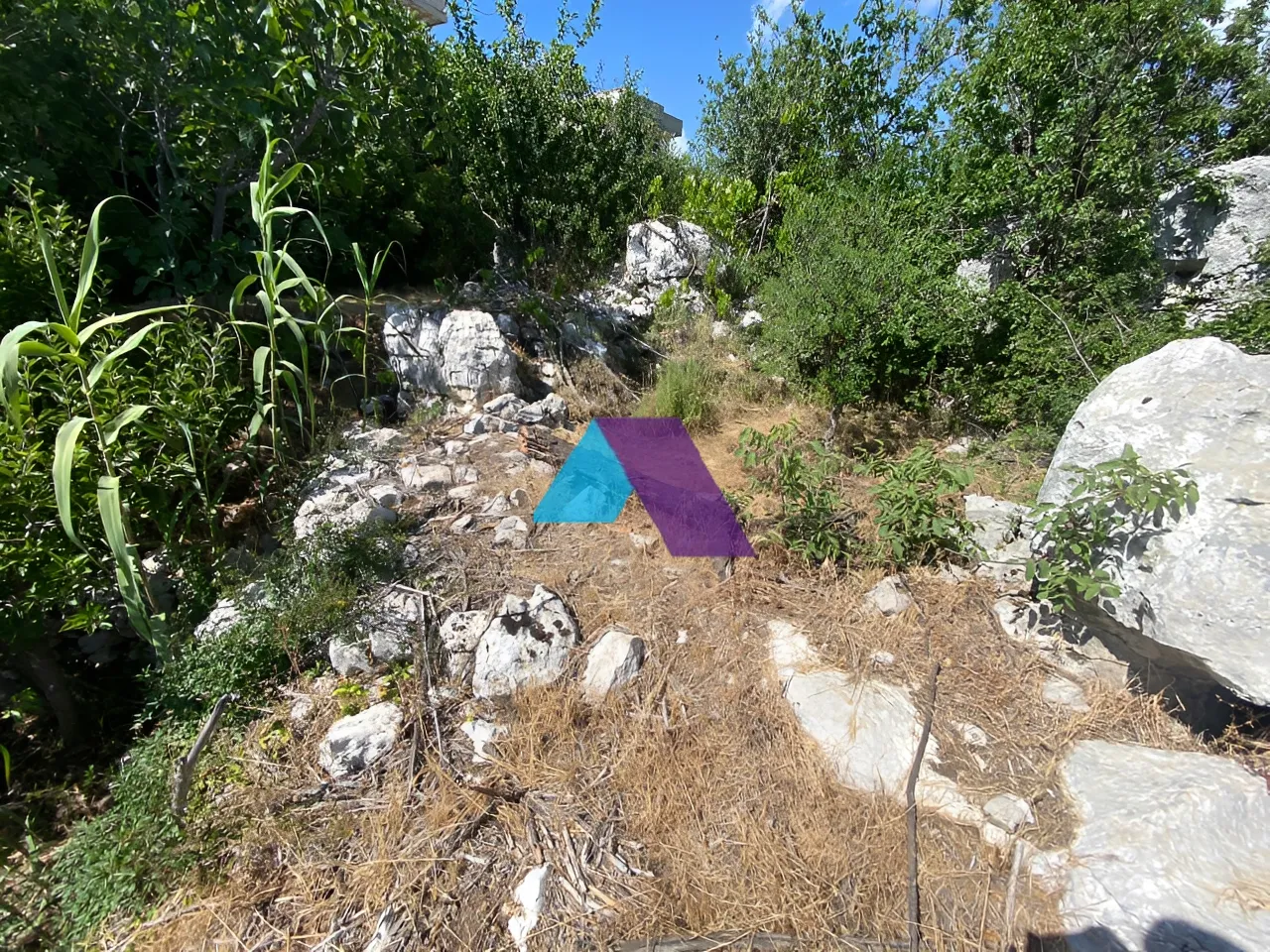 Land for Sale in Faitroun