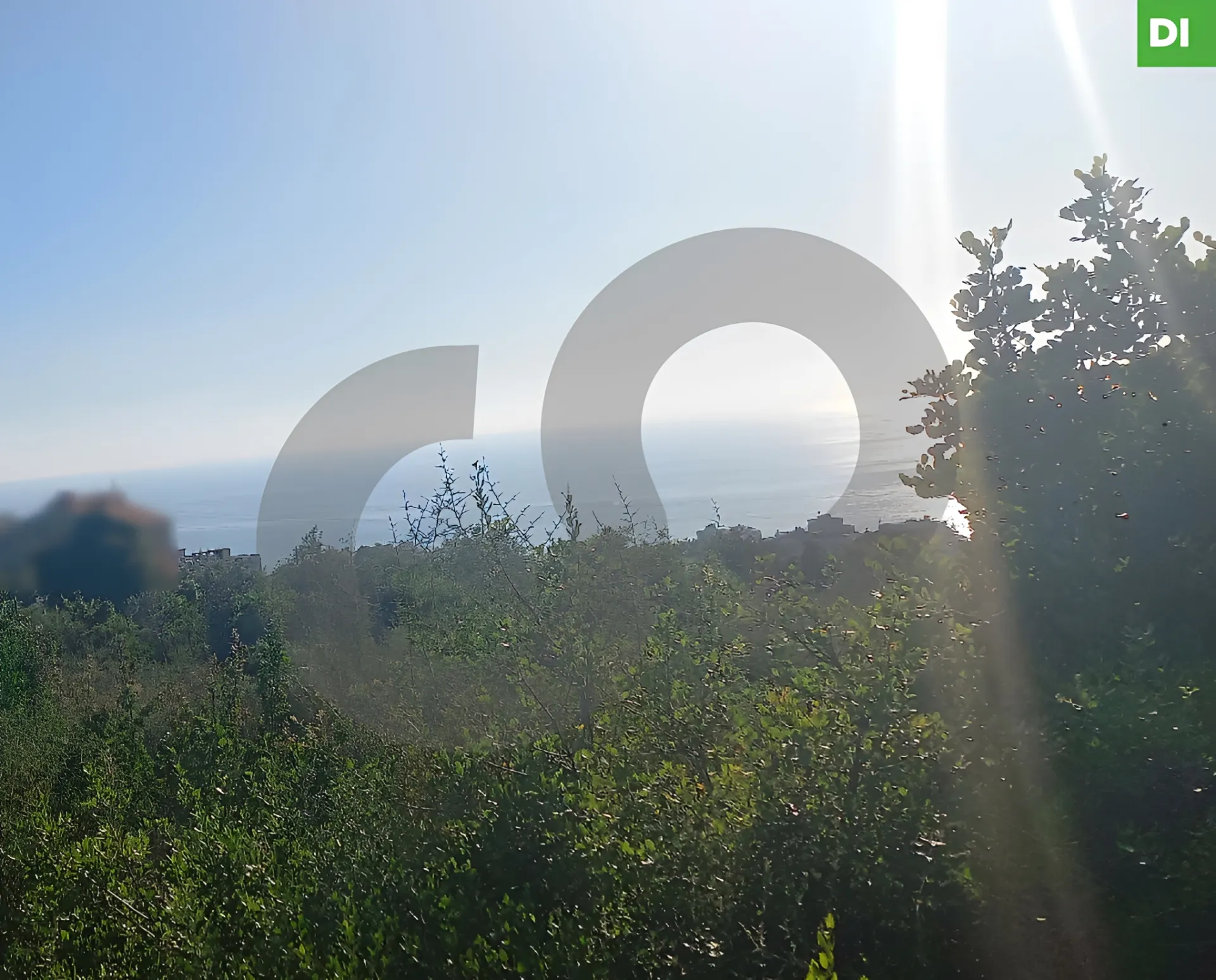 Land for Sale in Dibbiyeh