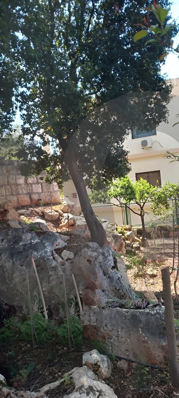 Villa for Sale in Nakhleh