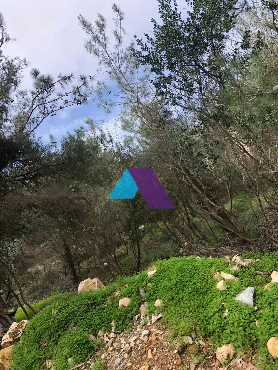 Land for Sale in Roumieh