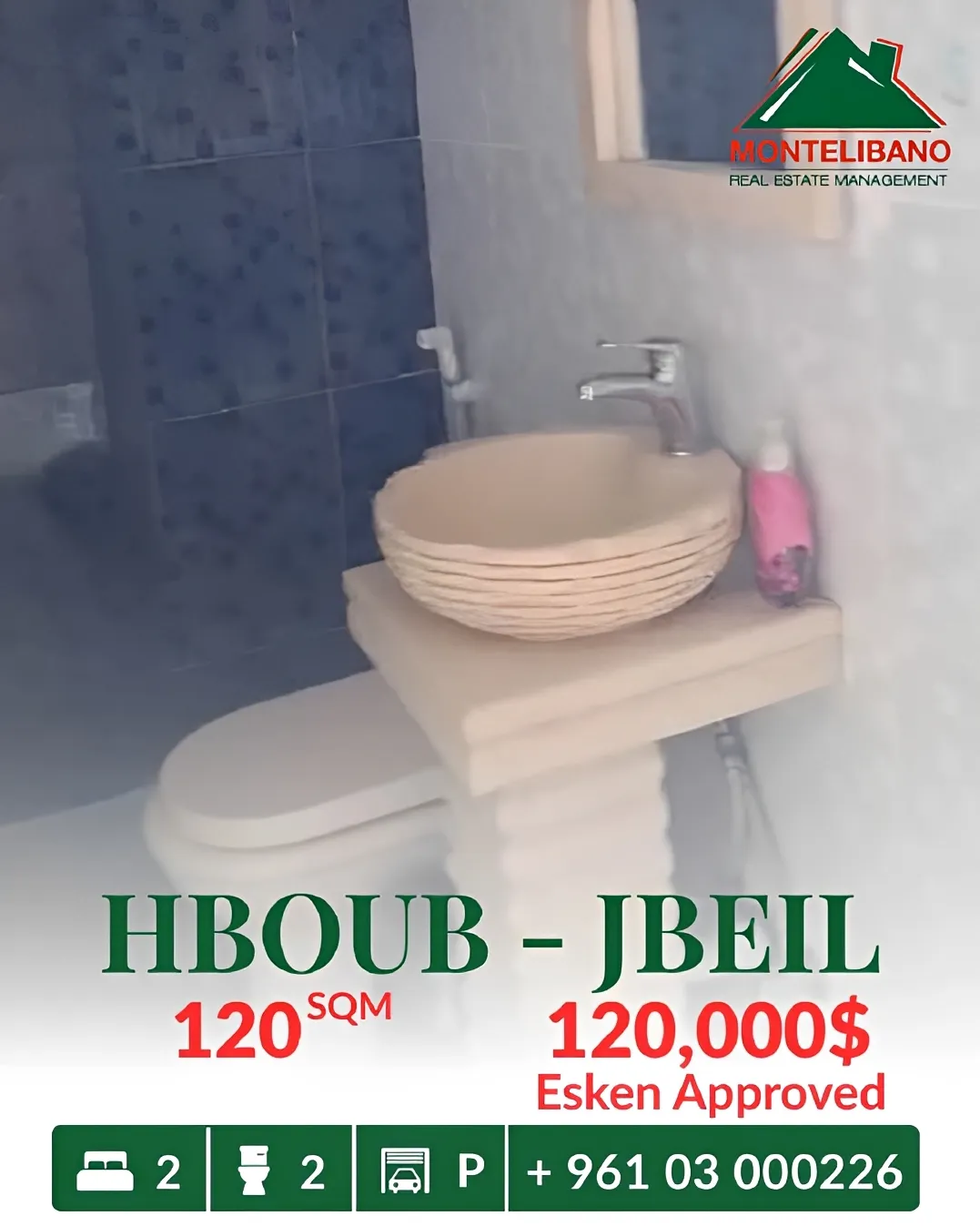 Apartment for sale in Habboub, Lebanon