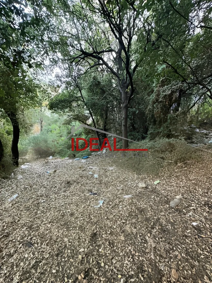 Land for Sale in Batloun, Lebanon
