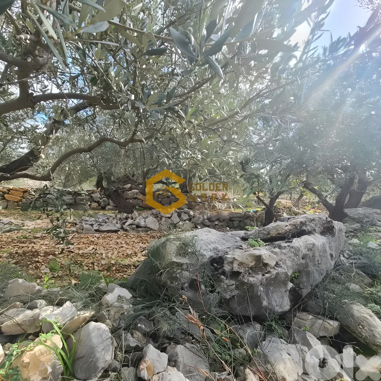 Land for Sale in Byblos