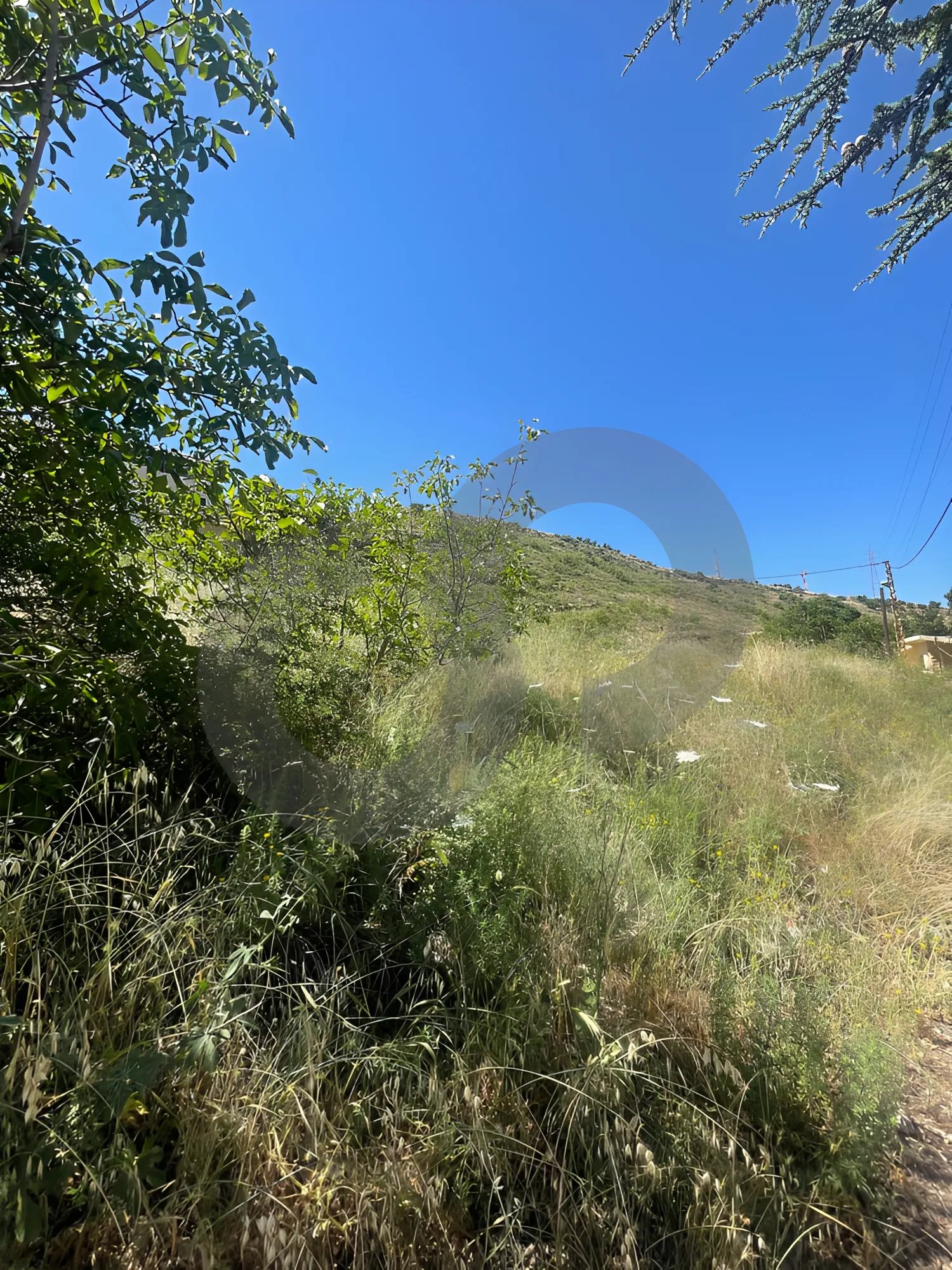 Land for Sale in Saoufar