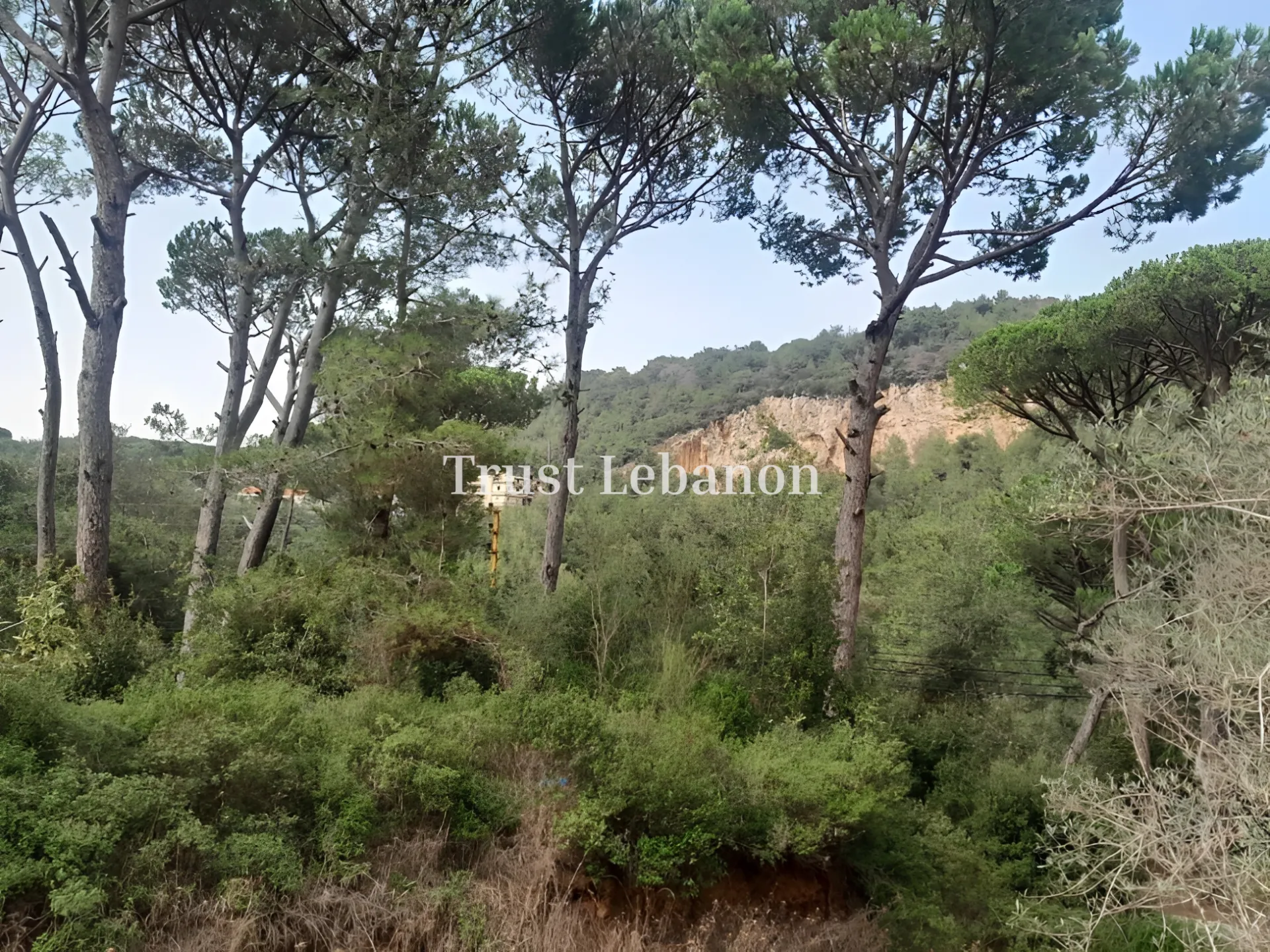 Residential Land for sale in Jouret El Ballout