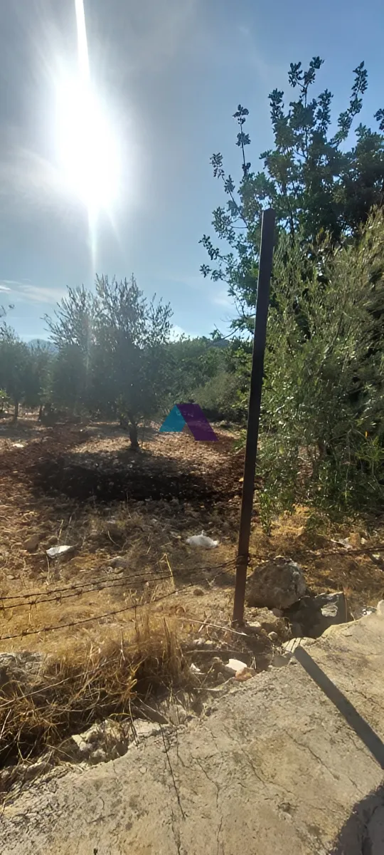 Land for Sale in Koura