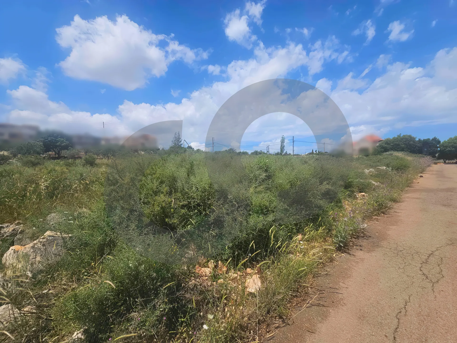 Land for Sale in Nakhleh