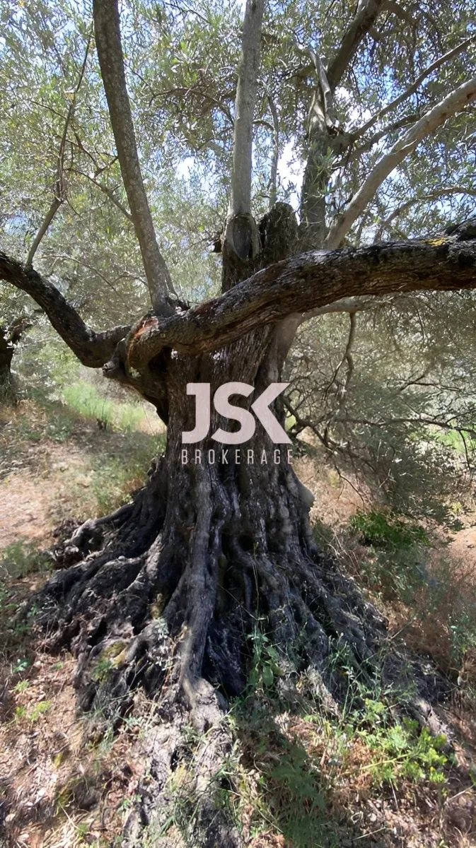 Land for Sale in Deir El Qamar, Lebanon
