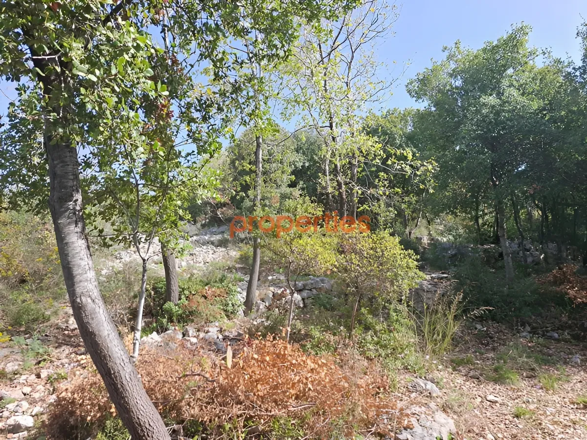 Land for Sale in Byblos