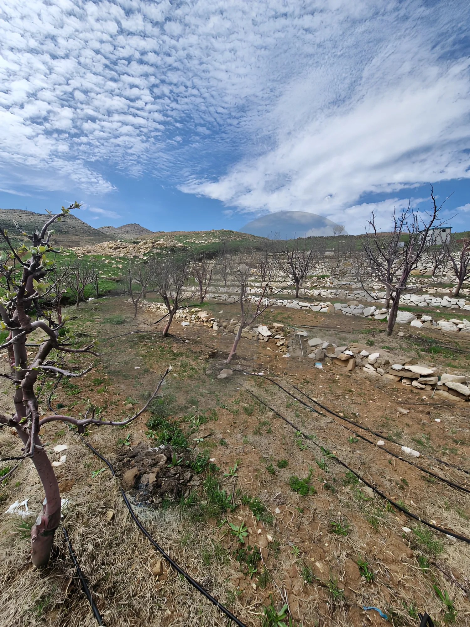 Land for Sale in Byblos