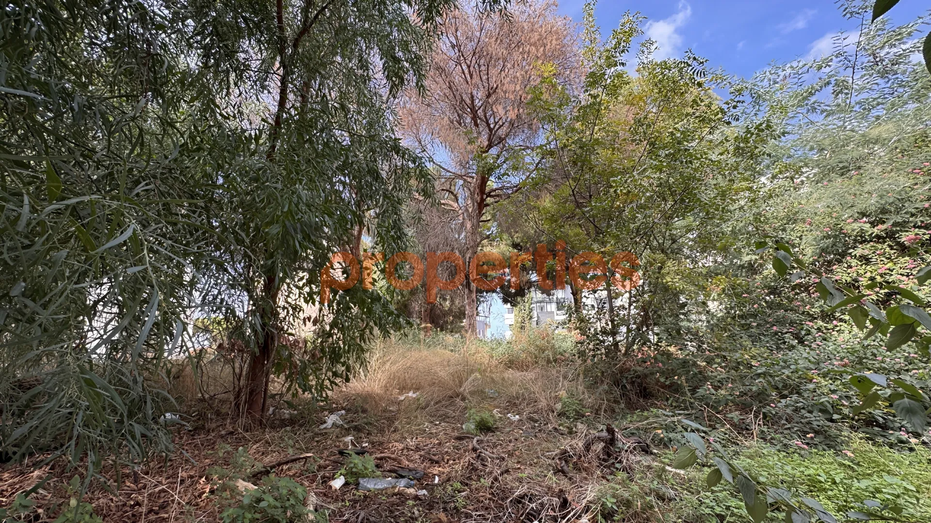 Residential Land for Sale in Aaoukar