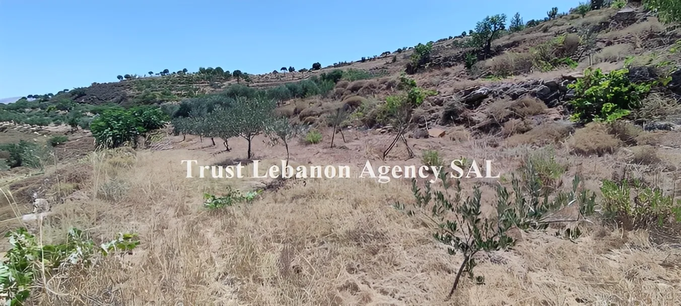 Land for Sale in Rashaya Lebanon