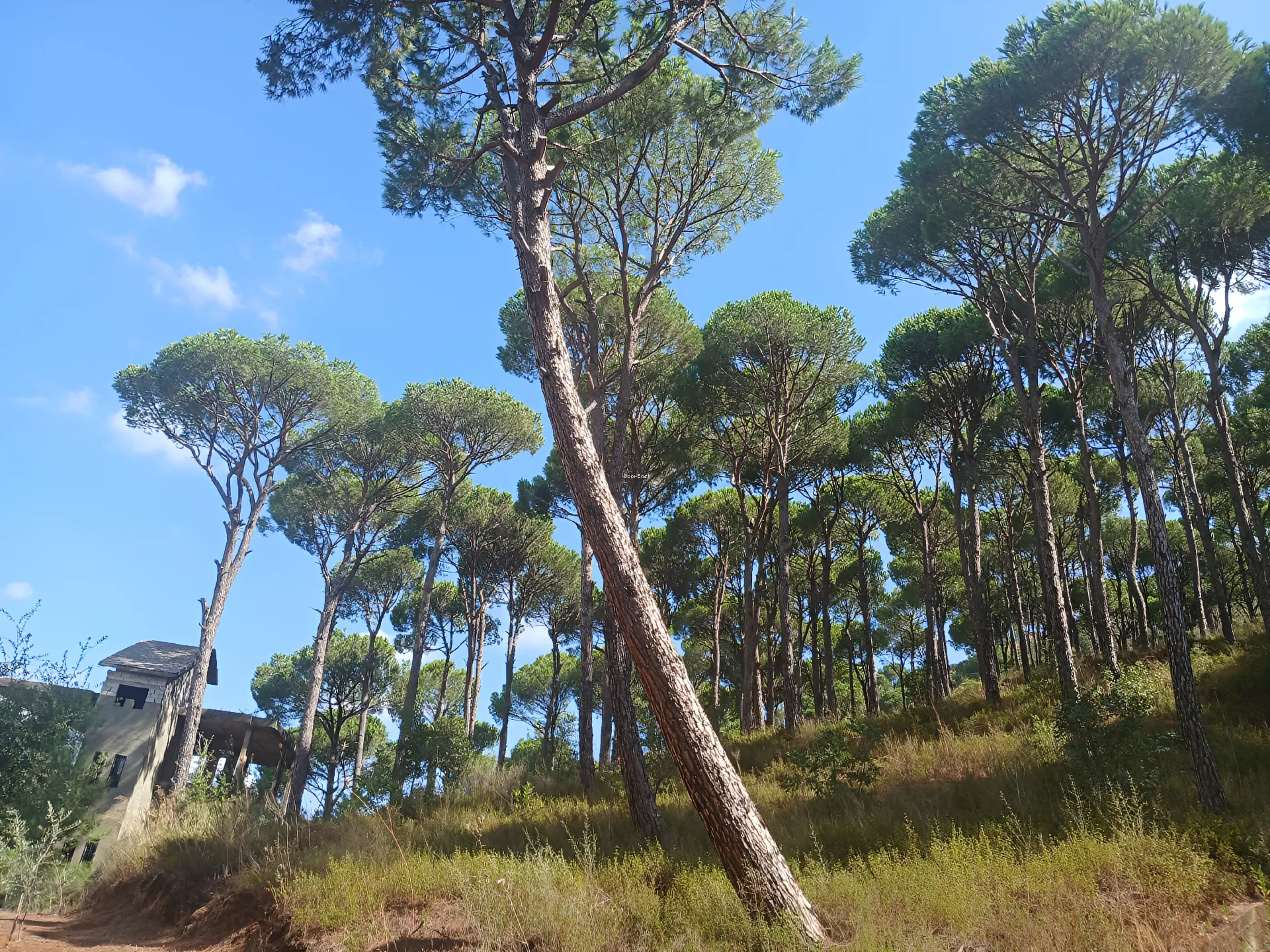 Residential Land for sale in Silfaya