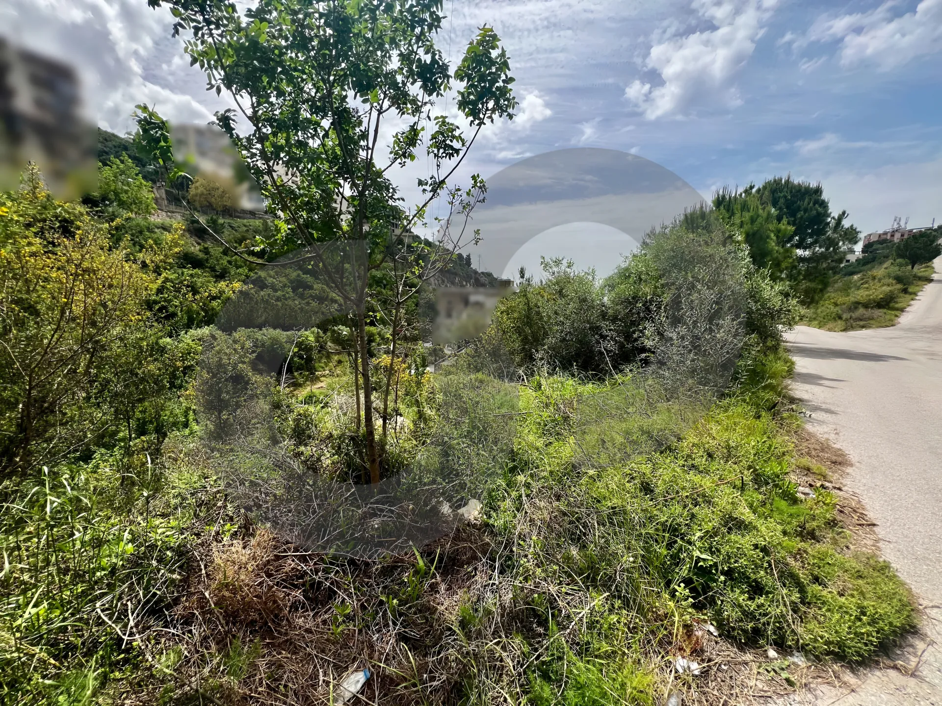 Land for Sale in Halat